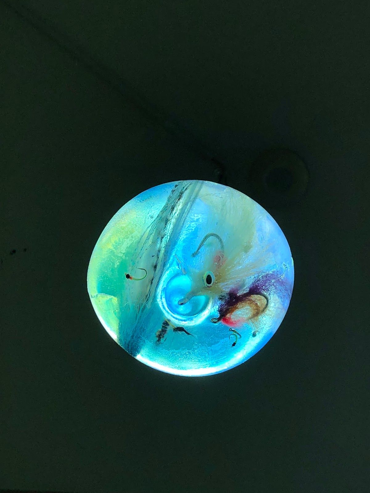 A pendant seen from directly below: a luminous blue-green disc with hooks, a fly's eye and violet feathers suspended in resin