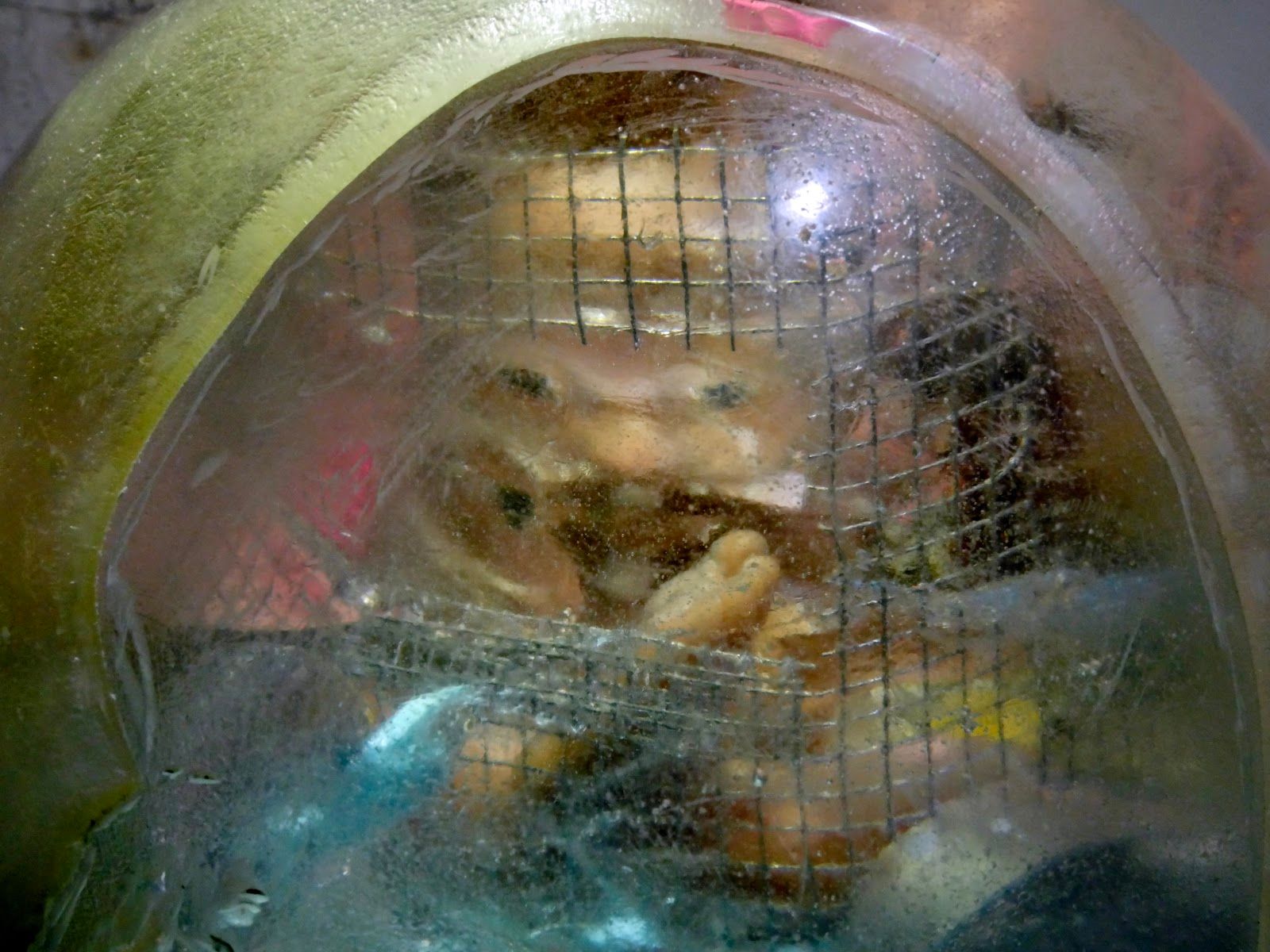 Detail through the resin showing a small silicone infant figure behind wire mesh, surrounded by embedded natural material